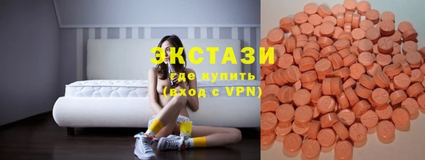 ECSTASY Алзамай